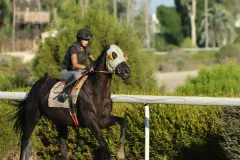 Η Παρασκευή (Βίβιαν) Τσαντίλα στης προπονήσεις. 
