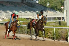 Στιγμιότυπο από τις προπονήσεις (23/08/2025)