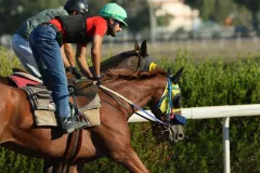 Στιγμιότυπο από τις προπονήσεις (23/08/2025)