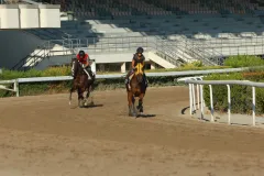 Στιγμιότυπο από τις προπονήσεις (23/08/2025)