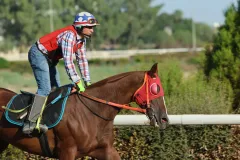 Ο Ντάηαμοντ Στελλάρας (Ν. Νικολάου) στις προπονήσεις (23.08.2025).