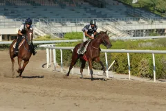 Στιγμιότυπο από τις προπονήσεις (23/08/2025)