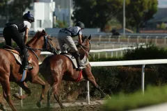 Στιγμιότυπο από τις προπονήσεις (23/08/2025)