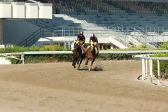 Στιγμιότυπο από τις προπονήσεις (23/08/2025)
