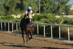 Η Εγγλέζα στις προπονήσεις 23 Αυγούστου 2025. 