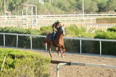 Ο Εσσαπέ στις δοκιμές του Σαββάτου 23 Αυγούστου. 