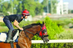 Ο Σερ Παστέλ (Δ. Κεφάλας) στις προπονήσεις του Σαββάτου 23 Αυγούστου. 