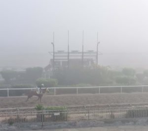 Ομίχλη ιππόδρομος προπονήσεις