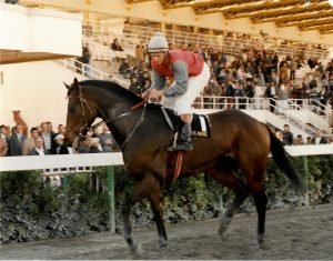 Erithrodontas KypelloIAK 26.11.1995 01