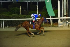 ΑΠΟΕΛΑΡΧΗΣ