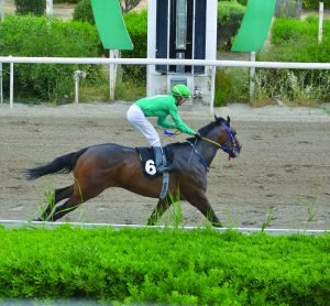 ΧΑΒΑΗ ΝΤΑΡΛΙΝΓΚ