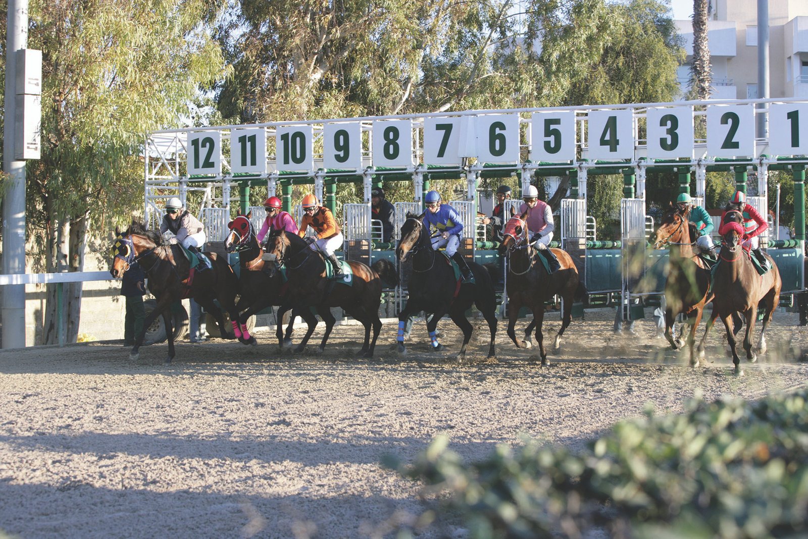 Μικρές Ιπποδρομιακές Ειδήσεις 1 start 1