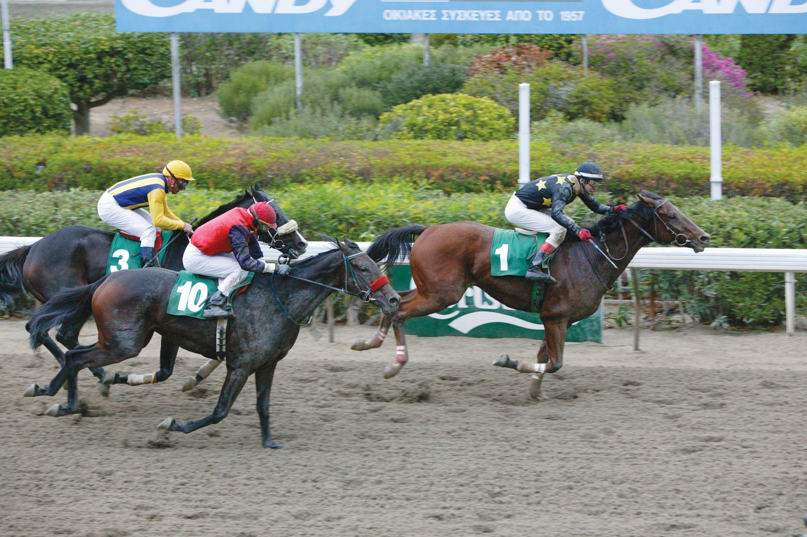 ALEXANDER NEFSKY 10 161005 scaled