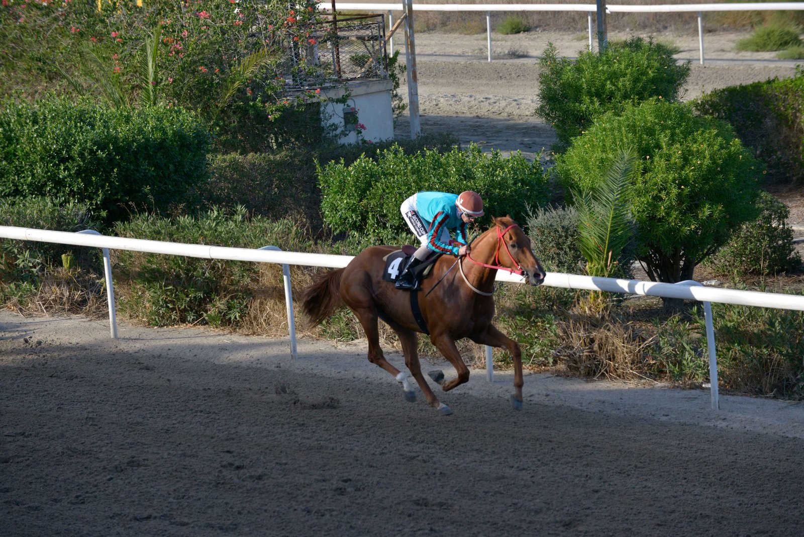 FREE MAN STK0582 ΣΕΒ scaled