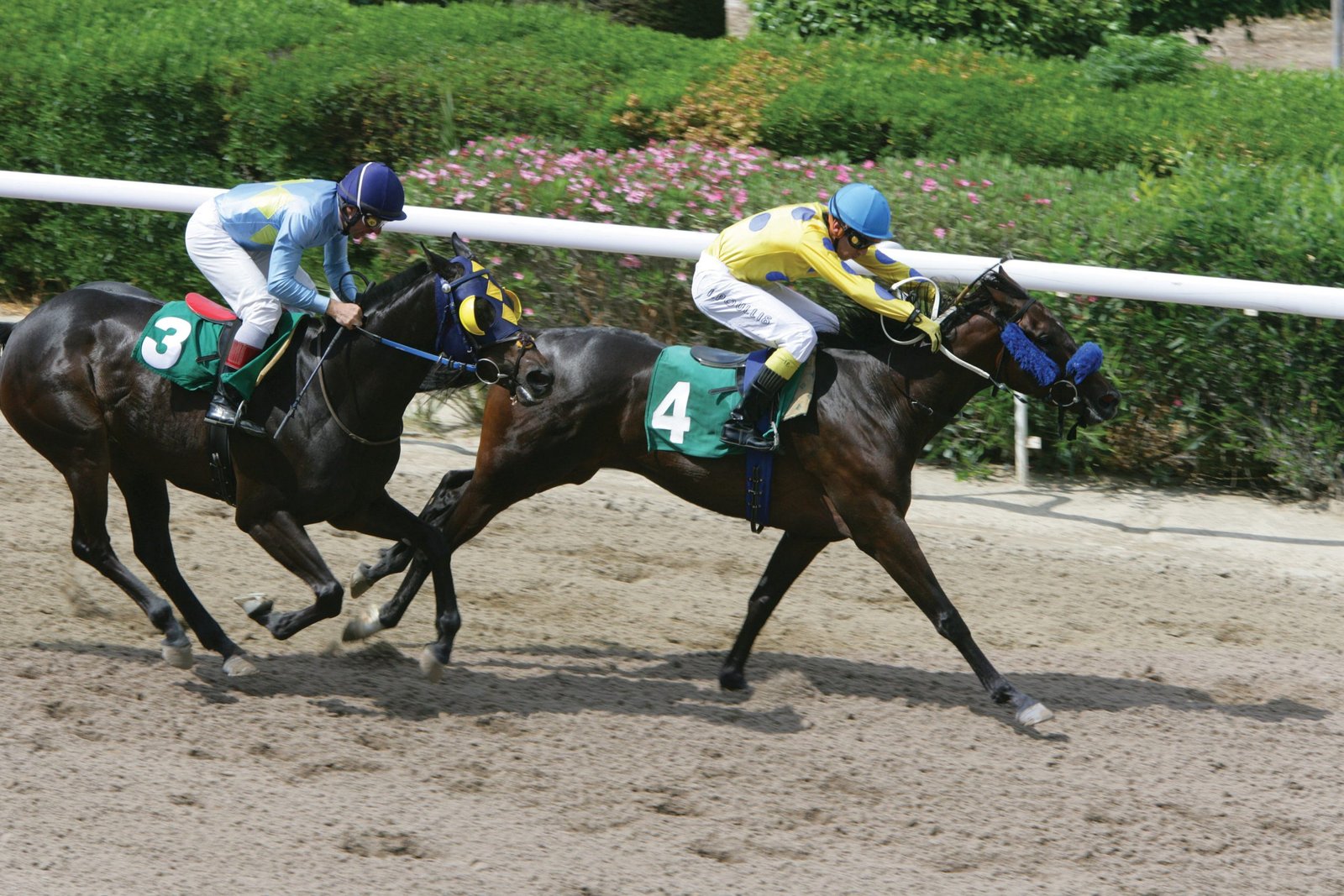 INDIGO 5 240509 scaled