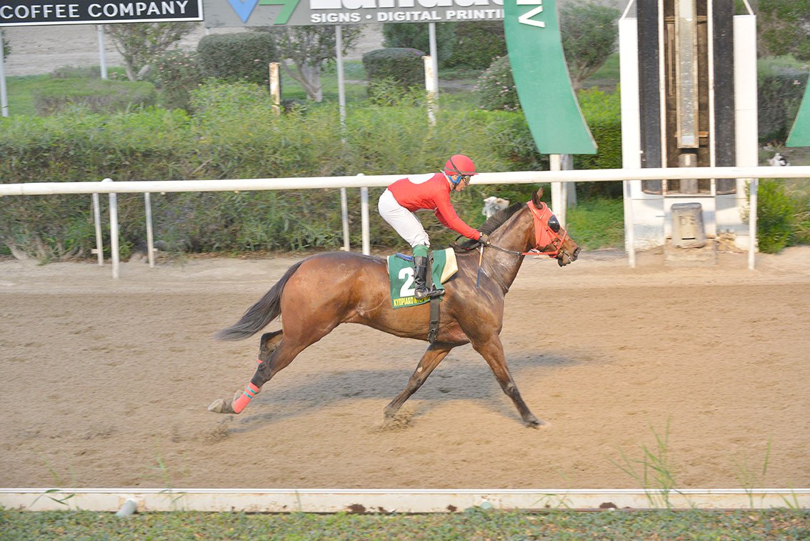 70 τριετείς για τις Gr1 στα 2.250 μέτρα 1 MIKROS ARTEMIS 27.11.22 STK4961