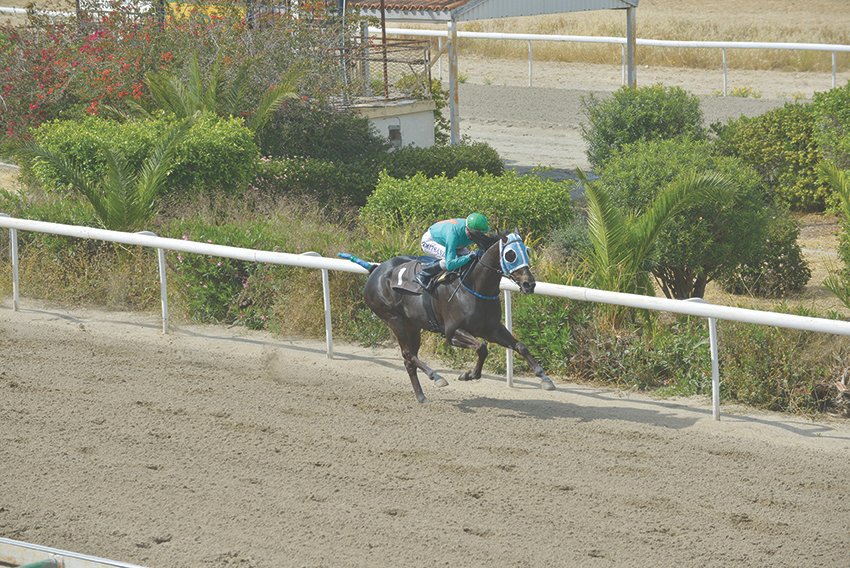 NYXTOLOULOUDO 1.5.23 KYP. AMMOXOSTOU STK1713