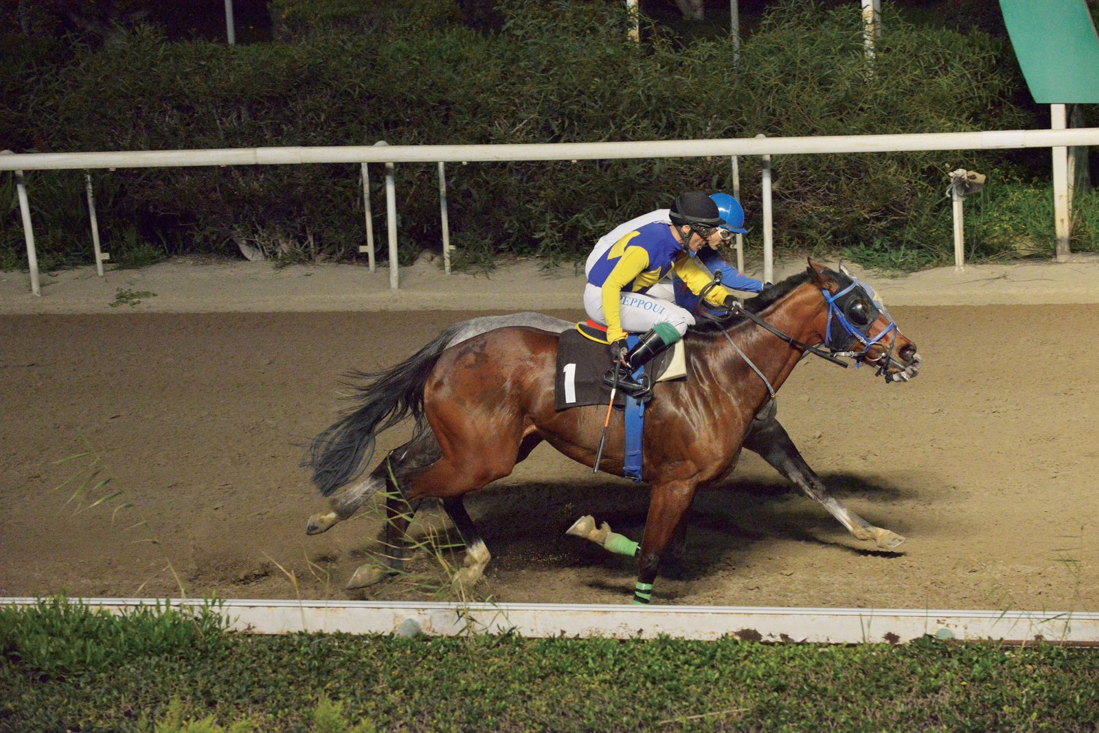 Απέκτησε και τον Πλούταρχο ο κ. Μάριος Χρ. Ιακωβίδης 1 PLOUTARCHOS STK9449 scaled