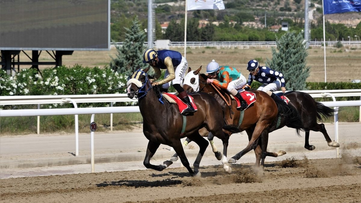 Ράιβαλ Όρντερ 1200x675 1