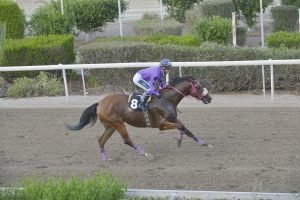 ARIANA GRANDE 1.11.23 STK1031