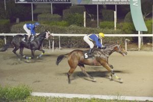 KALLISHIS1.11.23 STK1097