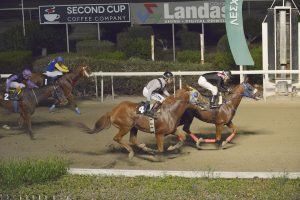 MOCHIKAS 1.11.23 STK1082