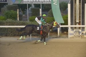 MYRIANTHOS 1.11.23 STK1047