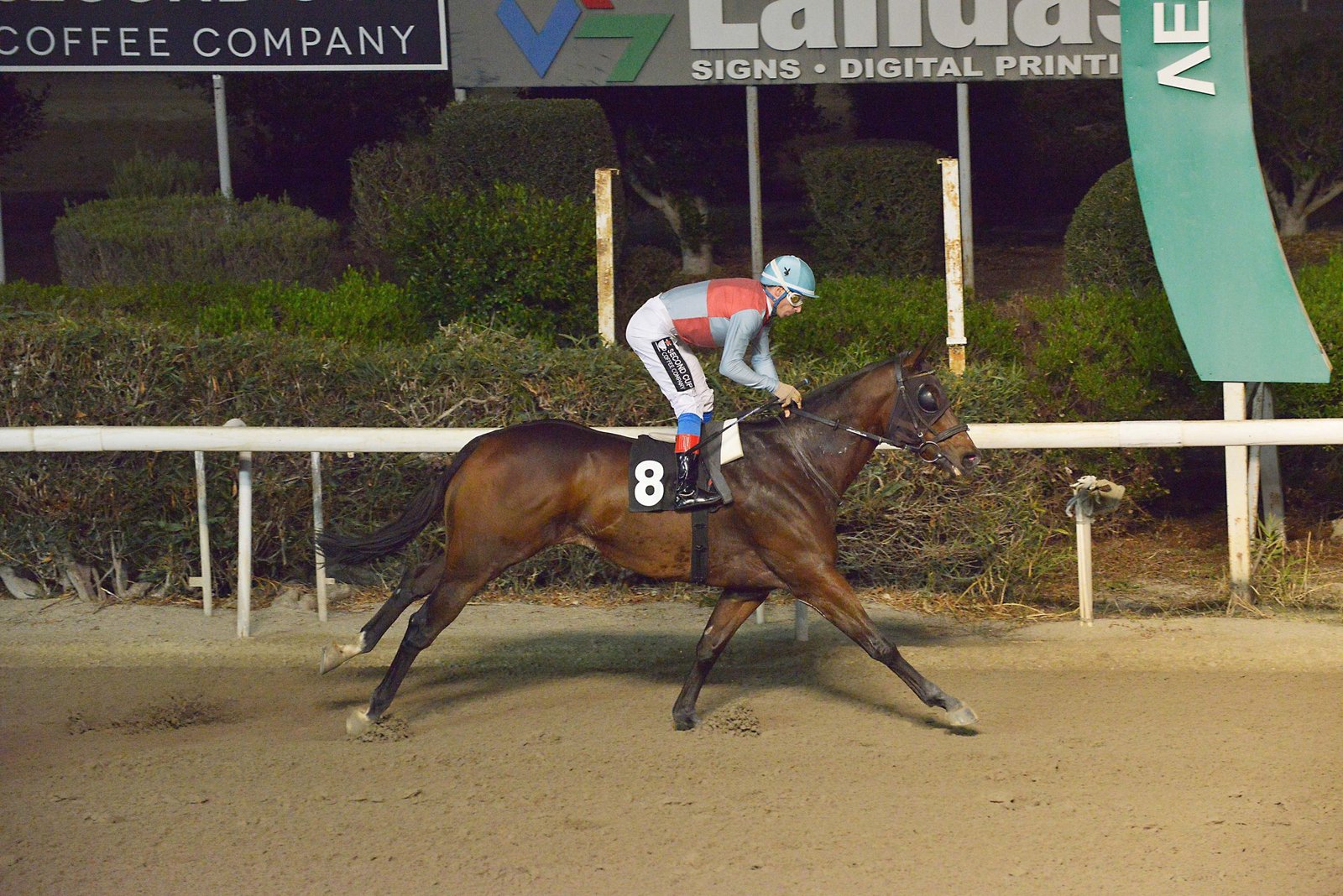 Συνεχείς αποχές λόγω… τένοντα 1 NIKOLATZIS STK1297 web scaled