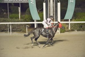 POSTMAN 1.11.23 STK1106