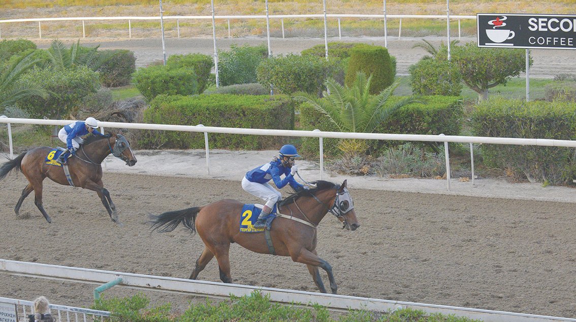 Ο Ρόγιαλ Θέο ξεκινά νέα καριέρα 1 ROYAL THEO 28.10.22 STK3272