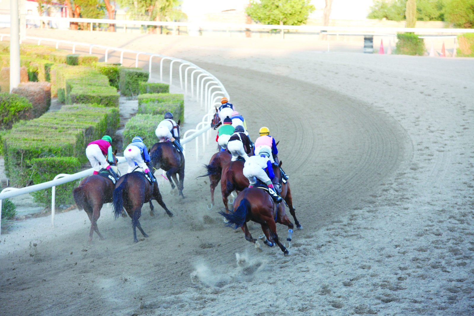 STROFI 1 13102019 scaled