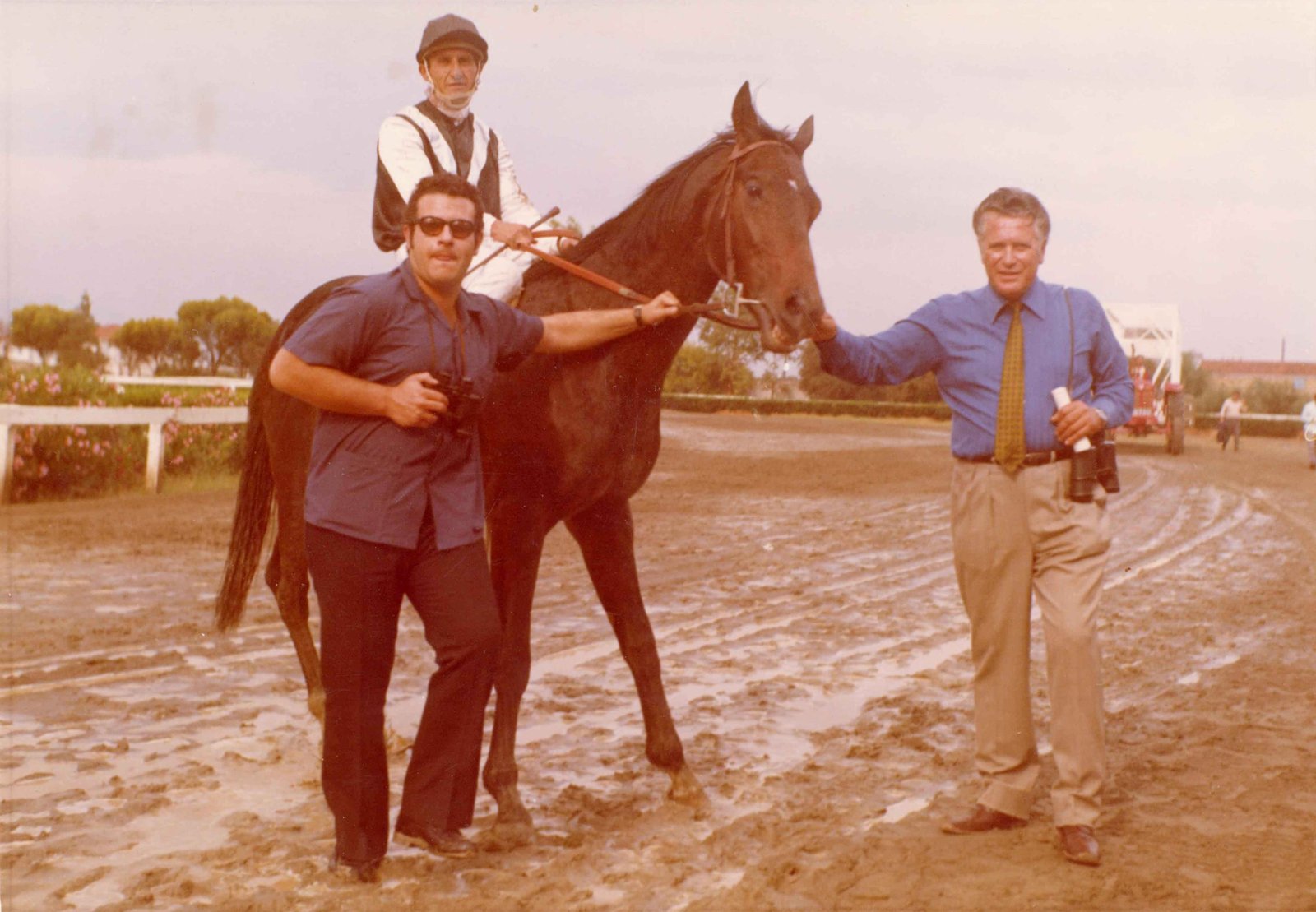 1Happy Look1 3 scaled