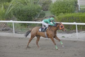 HAWAII AUTHORITY 20.12.23 STK2837