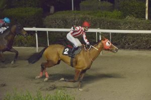 MIKRI ANASTASIA STK2786