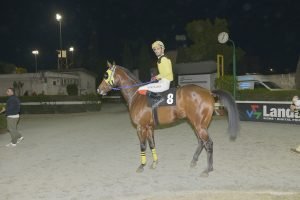 PARMENION 20.12.23 STK2868