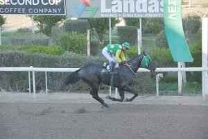 PERIPTERAS ATHOS STK2731