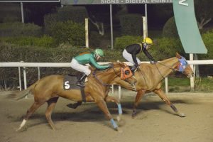 SIR PEPE 20.12.23 STK2935