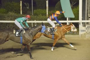 TRIGKIS 20.12.23 STK2871