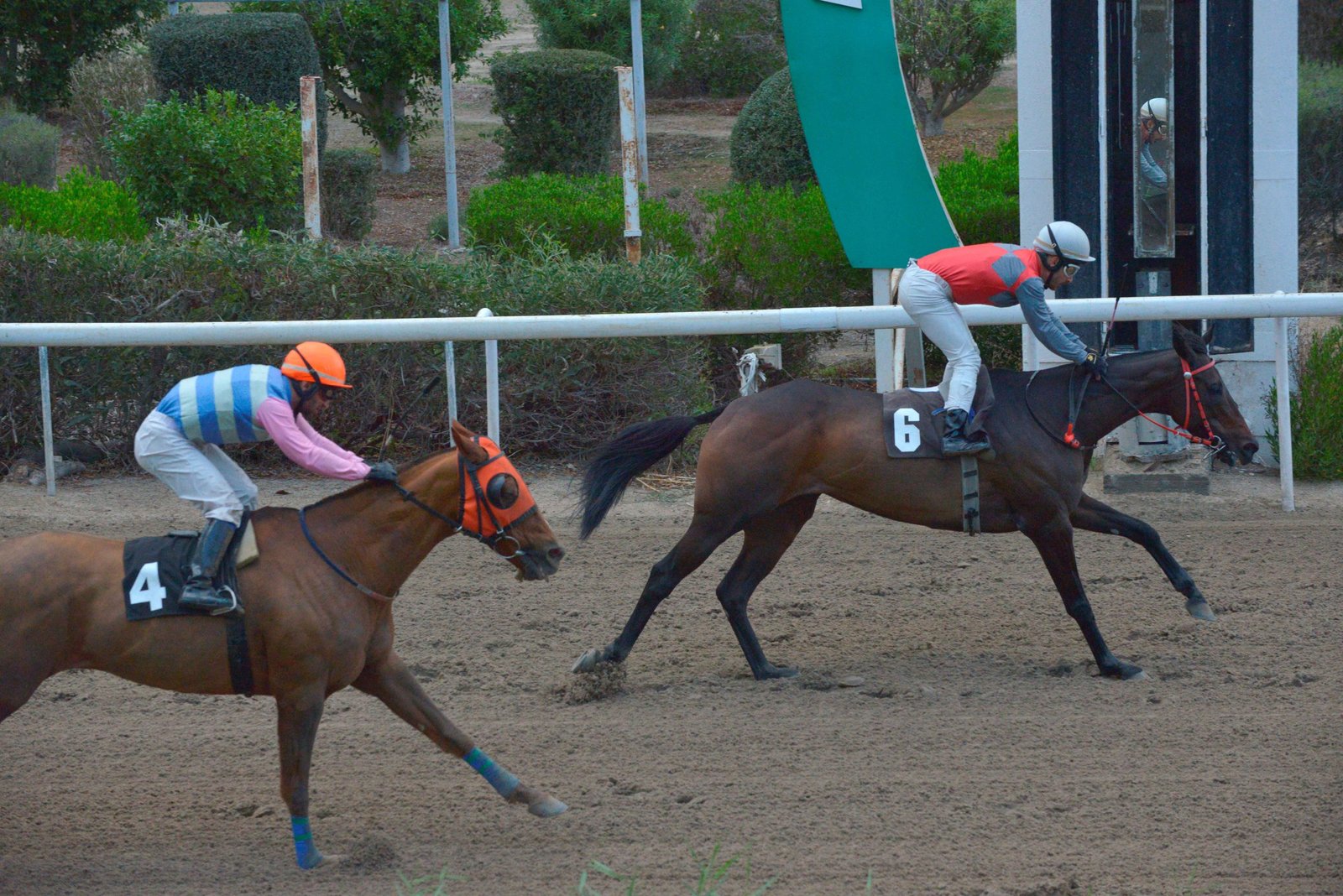 WEB ALINA KATERINA STK2007 scaled