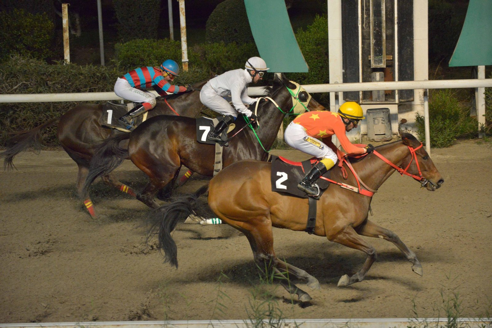 WEB MPAKAS 26.12 scaled