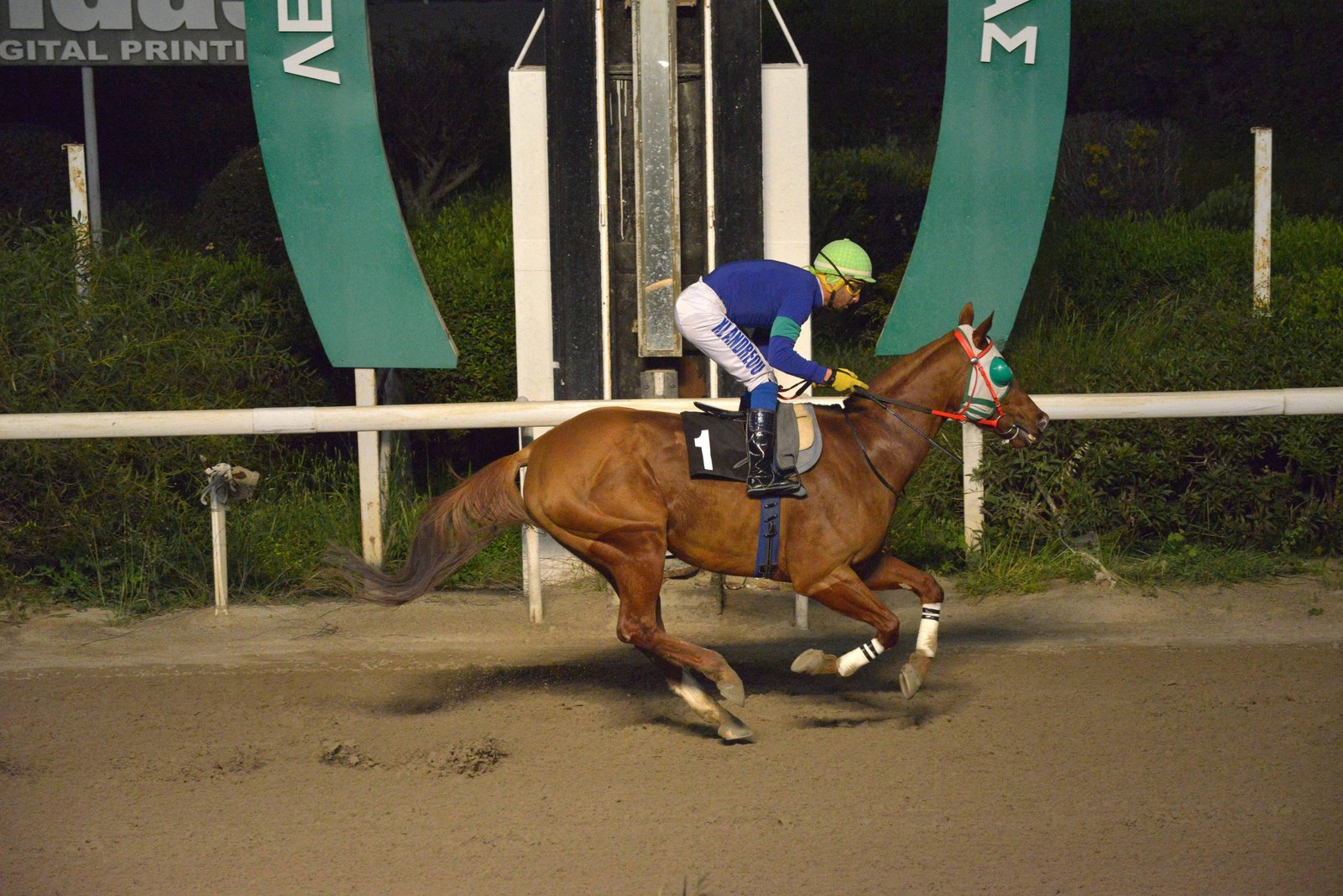 WEB Stiou STK0236 scaled