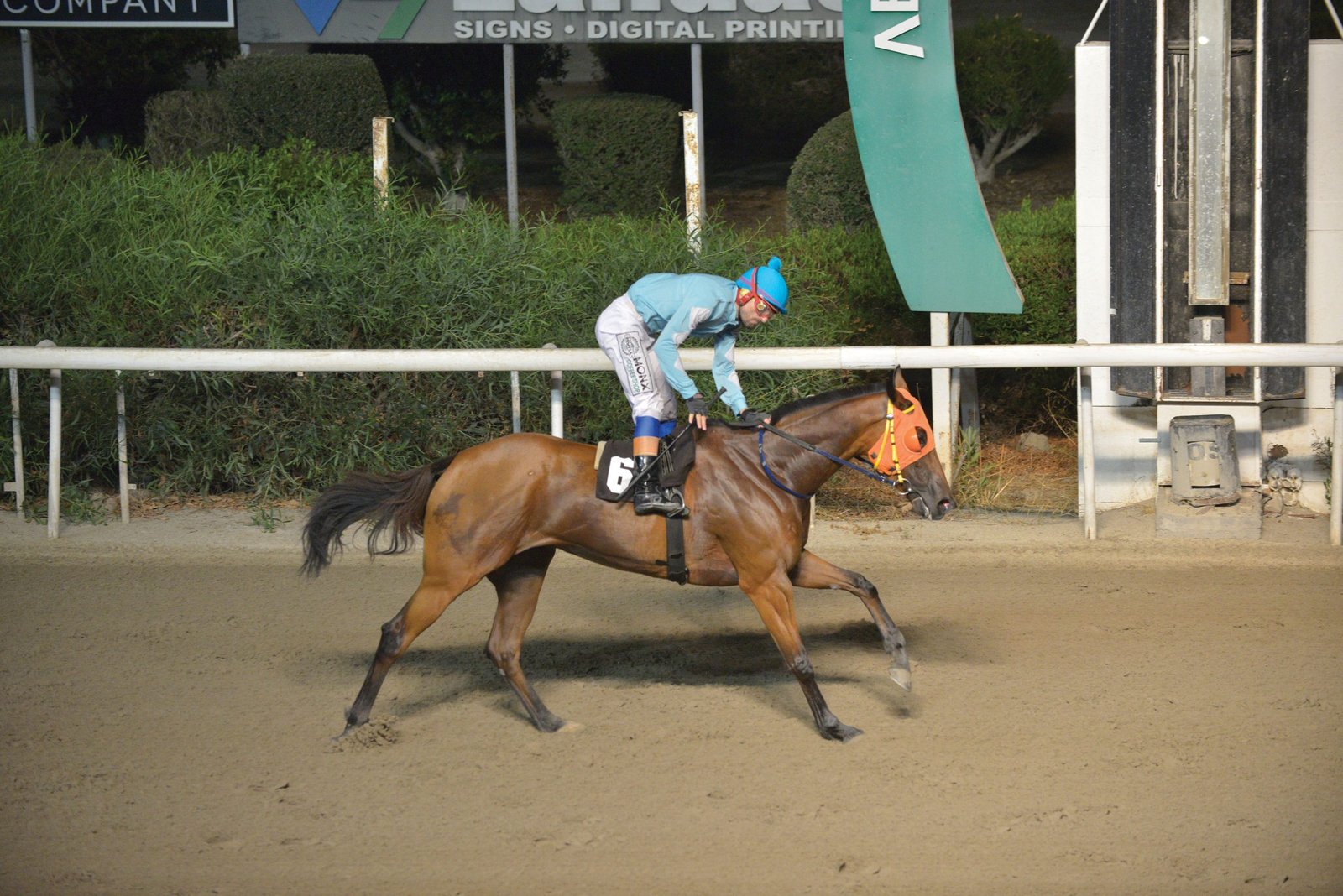 Αποχώρησαν Χαλκέντερος και Κουήν Λουϊζα 1 web QUEEN LOUIZA STK6849 scaled