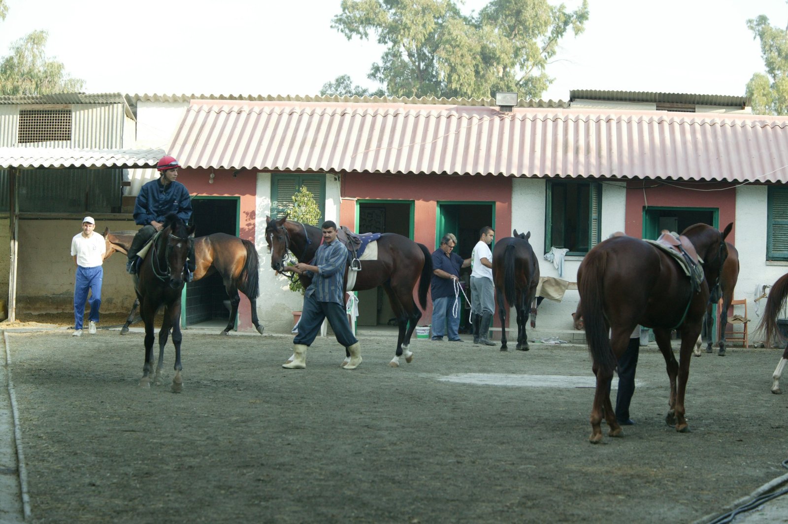 web STAVLOI 12 181003 scaled