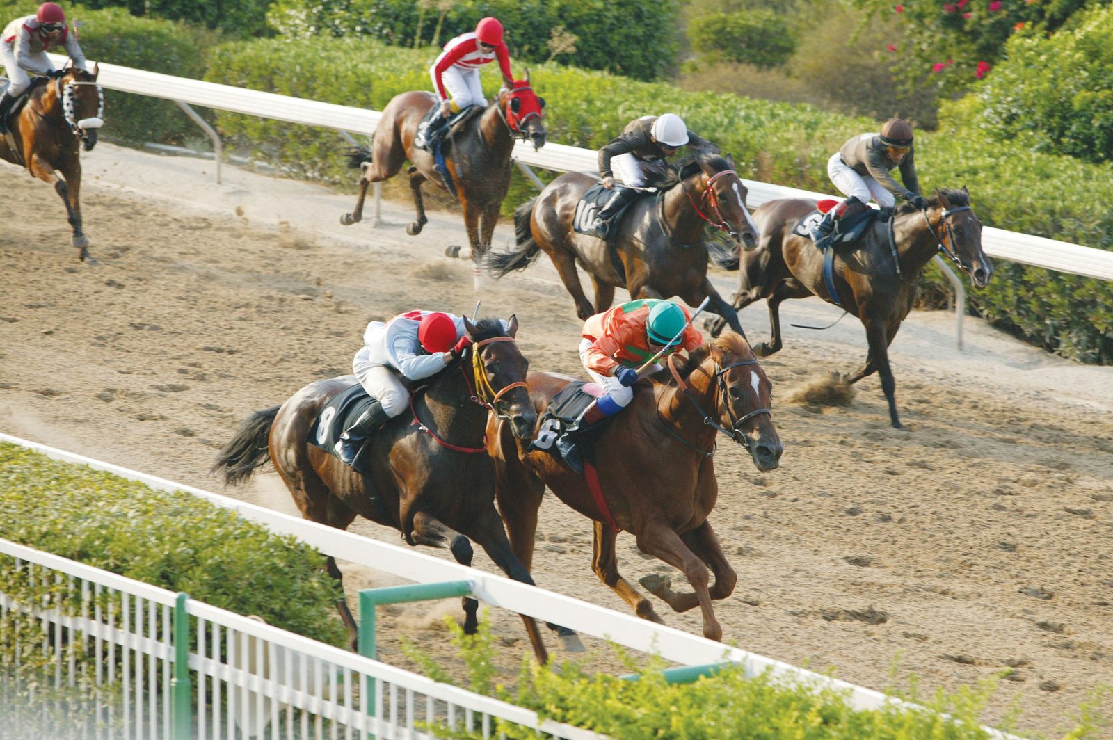 7 κούρσες την Τετάρτη 1 web STROFI 3 scaled