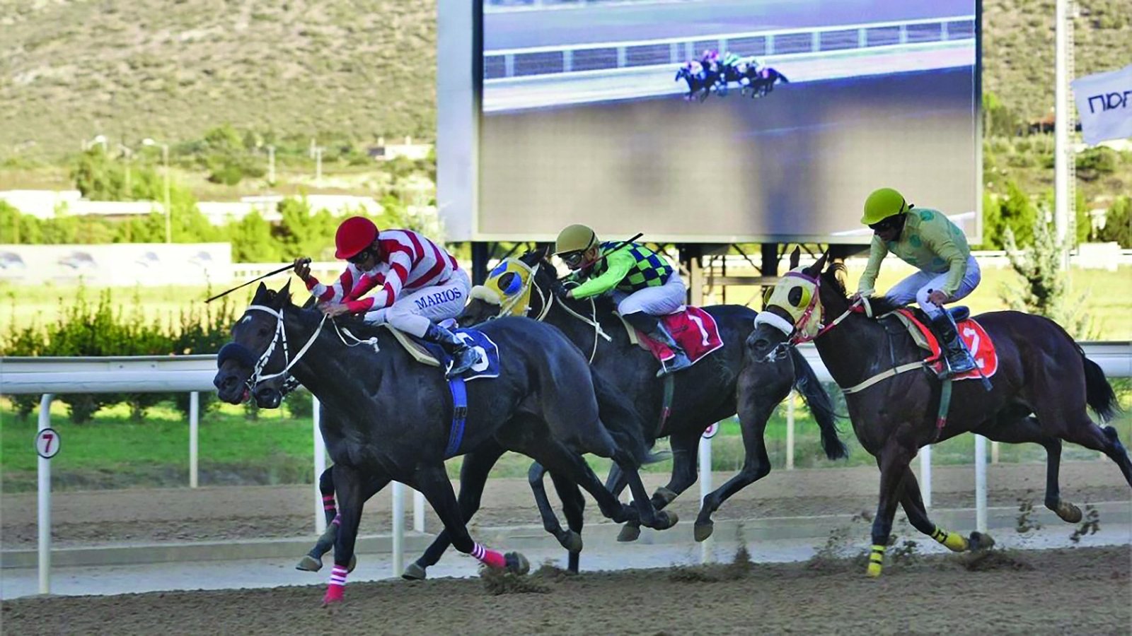 μαρκοπουλο scaled