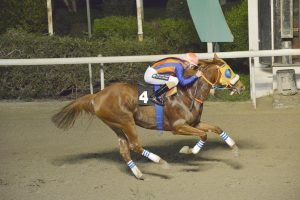 BLACK AMAZON STK3944