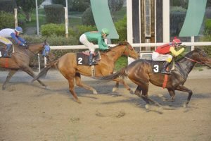 ΦΙΛΟΤΙΜΟΣ - 06/01/2024