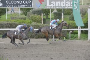 HAVANA ANTRIA STK3748