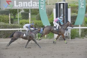 HAVANA ANTRIA STK3749