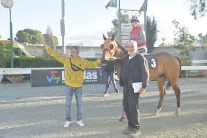 MELANIPPIDIS STK3545